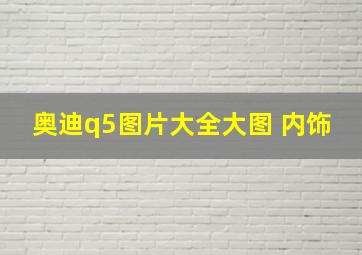 奥迪q5图片大全大图 内饰